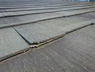 ブログタイトル