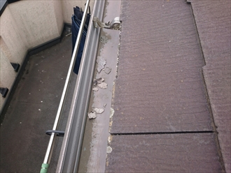 ブログタイトル