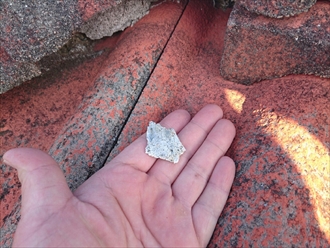 ブログタイトル