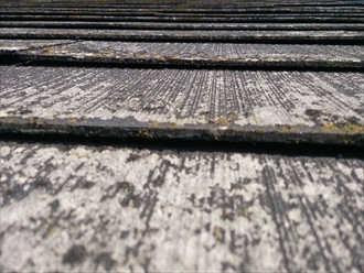 ブログタイトル