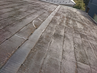 ブログタイトル