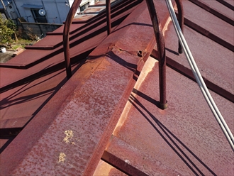 ブログタイトル