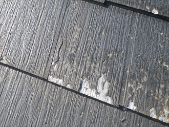 ブログタイトル