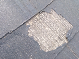 ブログタイトル