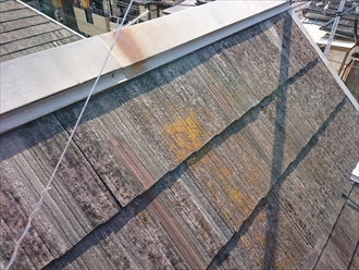 ブログタイトル