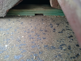 ブログタイトル