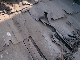 ブログタイトル