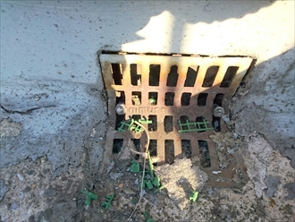 ブログタイトル