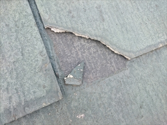 ブログタイトル