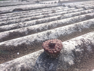 ブログタイトル