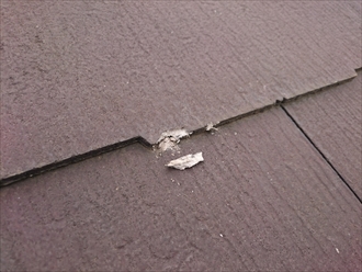 ブログタイトル