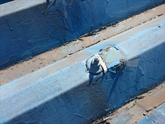 ブログタイトル