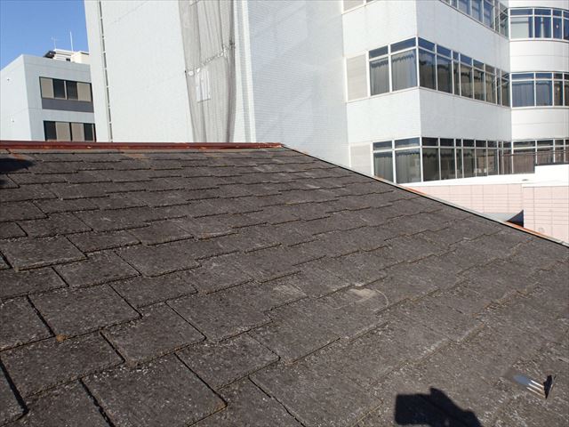 ブログタイトル