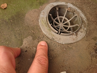 ブログタイトル