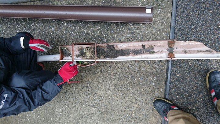 ブログタイトル