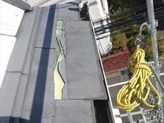 ブログタイトル