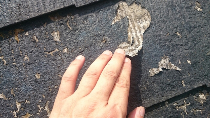 ブログタイトル