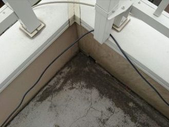 ブログタイトル