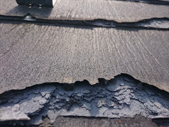 ブログタイトル