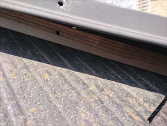 ブログタイトル