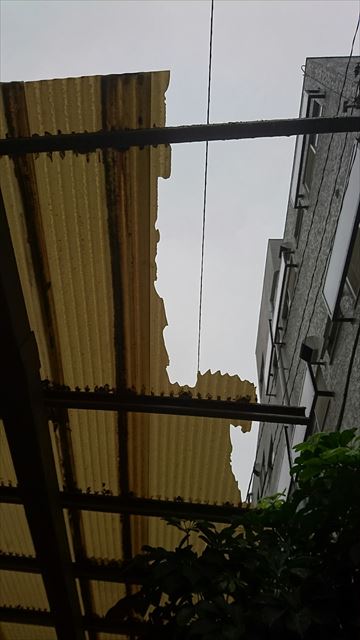 ブログタイトル