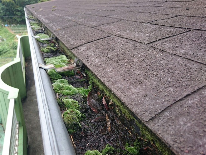 雨樋が詰まってコケが生えています