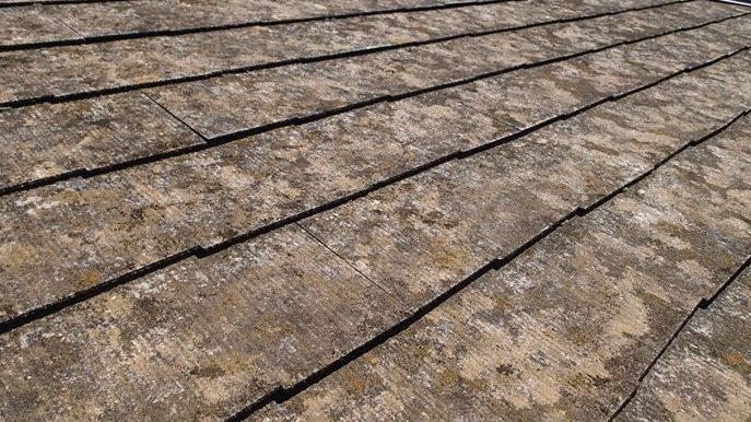 コロニアル確認