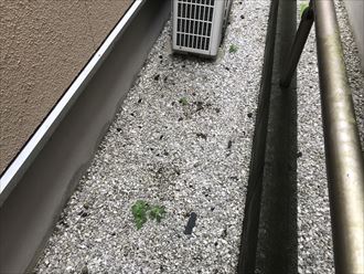 剥離した屋根材が庭に落下