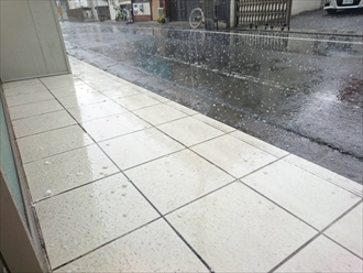 雷と共に大粒の雹が降ってきました