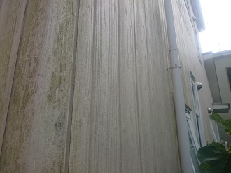 ブログタイトル