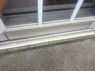 窓との取り合い部分の苔