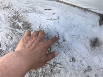 防水層の膨らみ