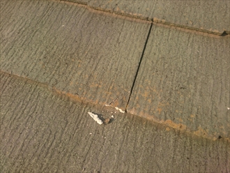 ブログタイトル