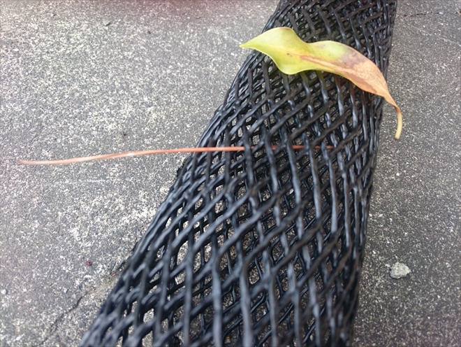 広葉樹は防げますが針葉樹は防げません