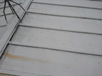 瓦棒葺き屋根は若干下地が傷み始めています