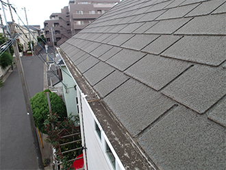 土埃の堆積した雨樋