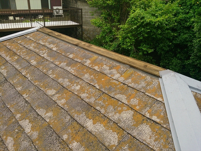 ブログタイトル