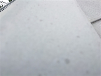斑点模様は雹がぶつかった跡です