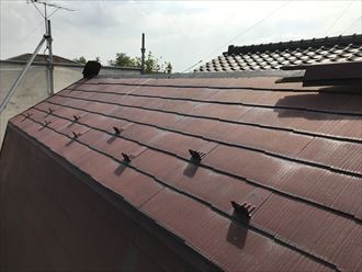 ブログタイトル