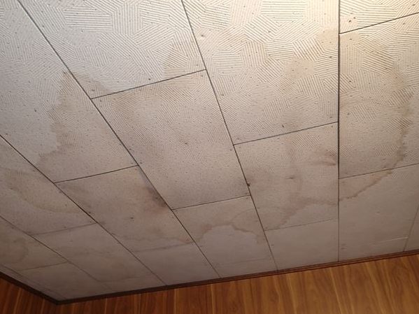 天井のシミ