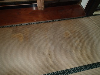雨漏り被害にあった畳
