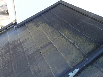 苔の生えたスレート屋根