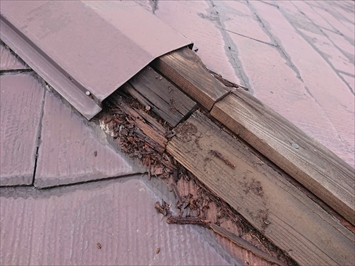 八王子市片倉町で調査したスレート屋根の棟板金は下地の貫板が腐食しています