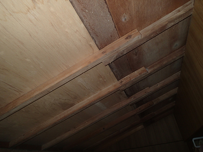 雨漏りによって雨染みができた天井屋根