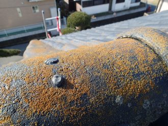 ブログタイトル