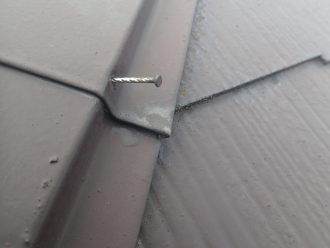 ブログタイトル