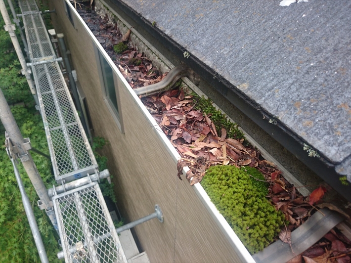 落ち葉が詰まって雨水が排水されません