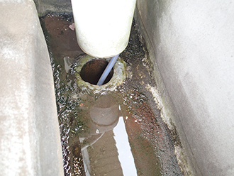 排水口周辺にも雨水が滞留