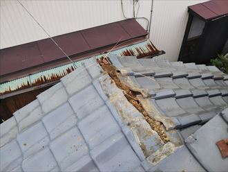 棟取り直し工事で屋根下地に銅線を固定