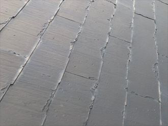 パミール屋根寄り